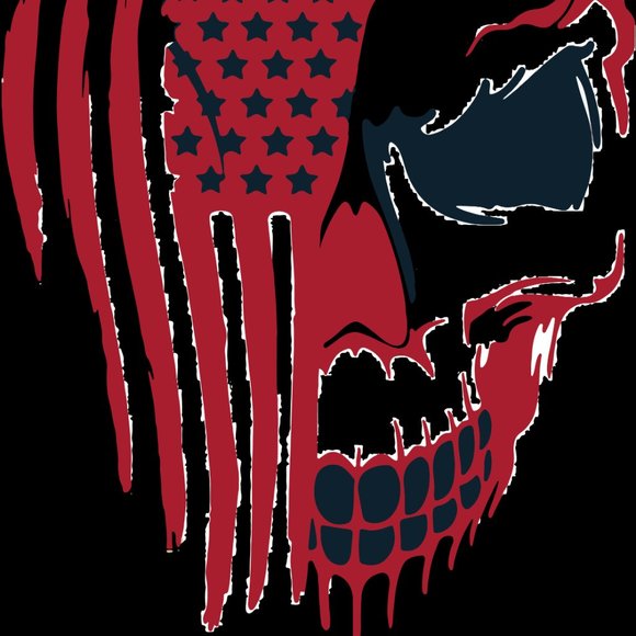 Houston Texans - Picture 3 of 4